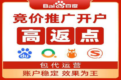 实战解析：SEM网络推广成功案例分享